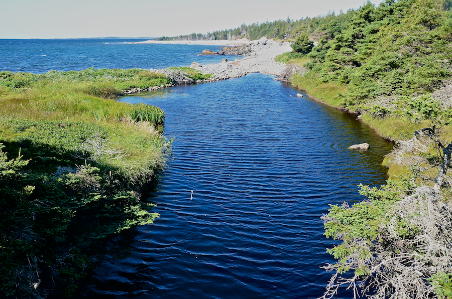 Looking downstream from the bridge over Fresh Water Brook