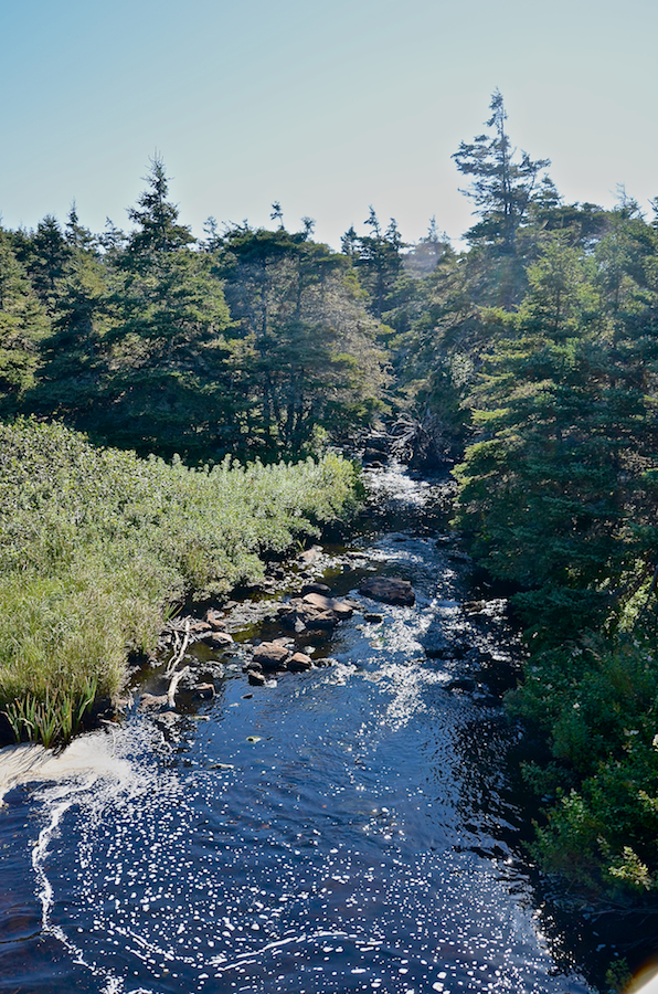 Looking upstream from the bridge over Fresh Water Brook