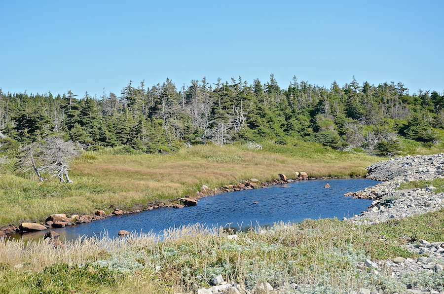 A barachois inland of Simon Point