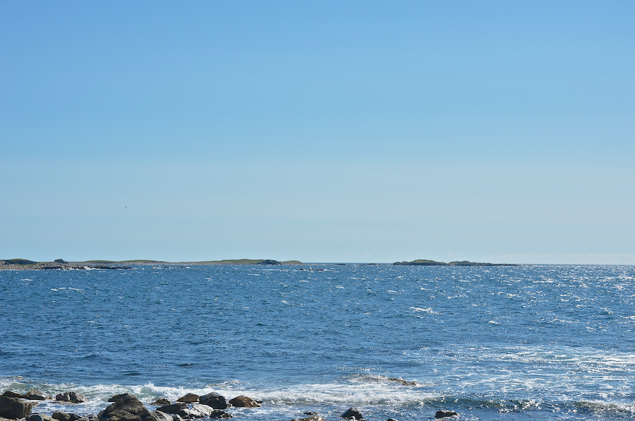 The Atlantic coast east of Simon Point
