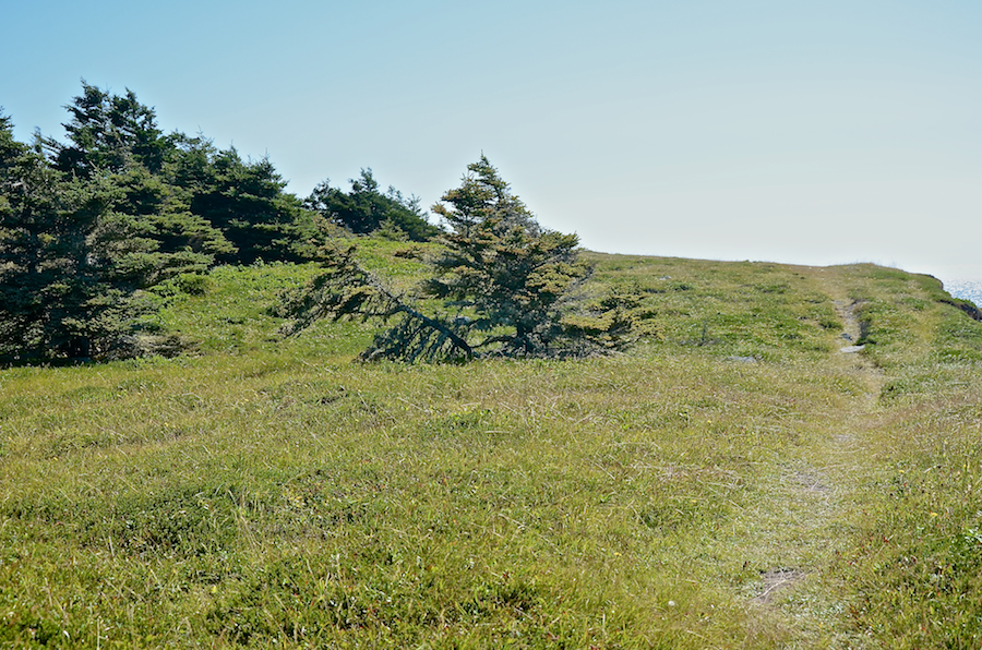 The Simon Point Trail along the cliffs