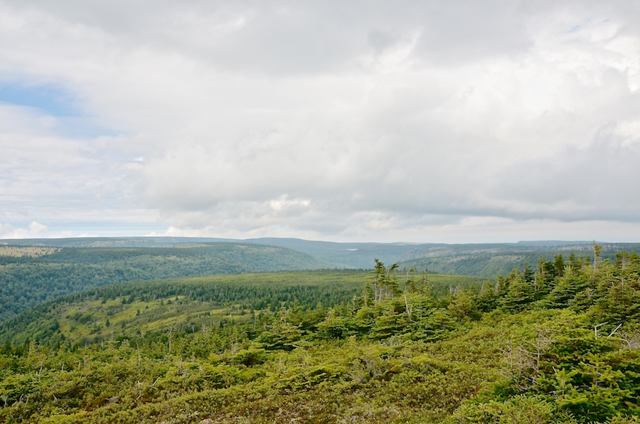 View from the overlook beside the trail in McEvoys Barren on North Mountain