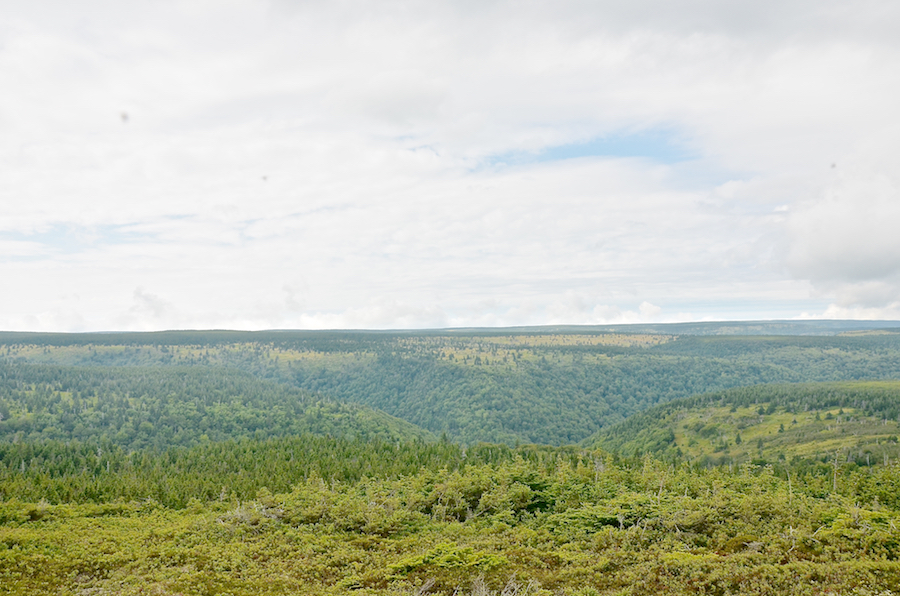 The head of the Salmon River
