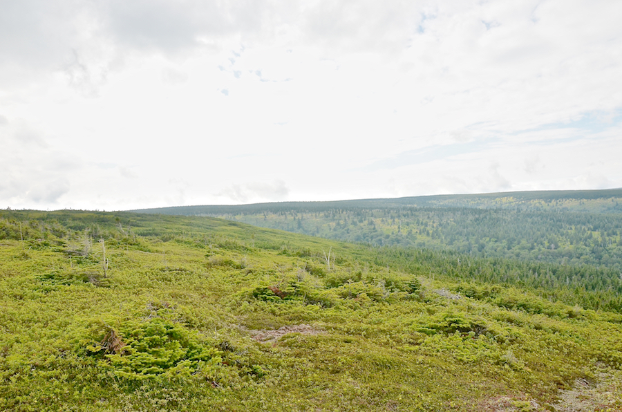Looking west along the ridge of the overlook