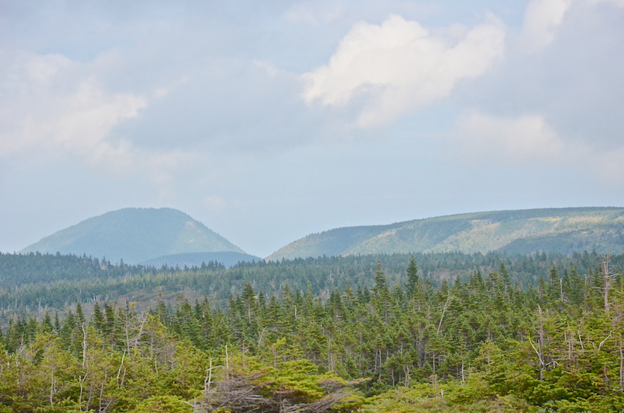 Willkie Sugar Loaf and the ridge above Willkie Brook