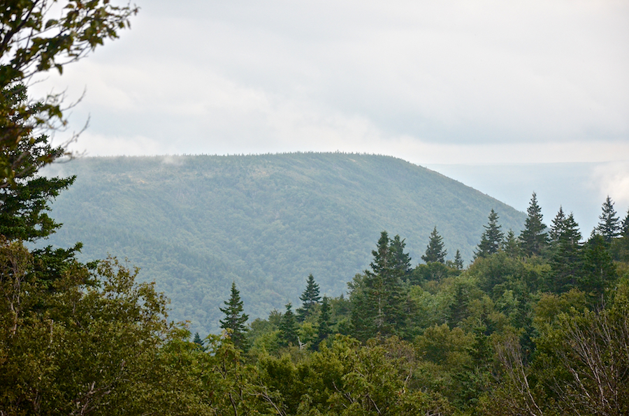 Theodore Fricker Mountain across the North Branch Brook