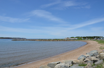 Murphys Pond Beach and the Murphys Pond marina