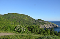 The western Highlands above Meat Cove from the Hines Oceanview Lodge