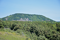 Bear Hill
