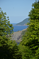 Looking down the Lowland Cove Trail