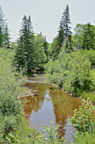 Looking upstream at Captains Brook