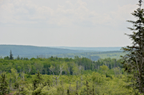 Looking across the Frenchvale Valley