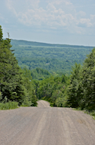 Descending into the Frenchvale Brook Valley