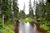 Looking upstream from the bridge on Maple Brook Road