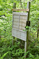 The Cape Mabou Trail Head