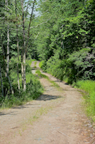 Logans Glen Road