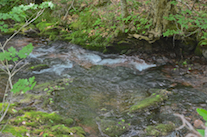 Argyle Brook