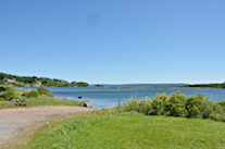 The Head of West Bay Cove