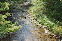 Looking upstream at MacKenzie Brook from the bridge on the Gairloch Mountain Road