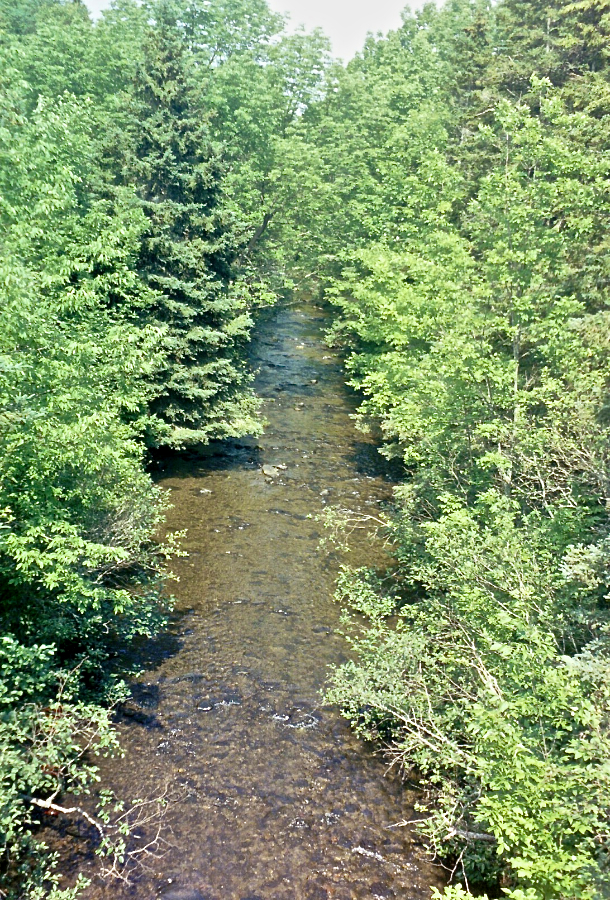 Graham River