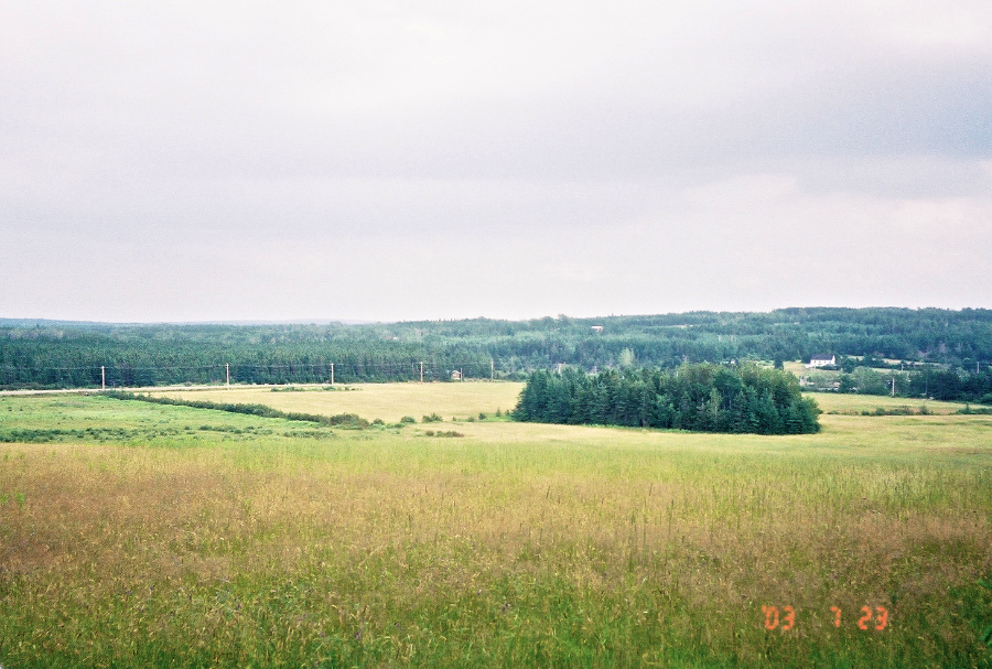 Fields