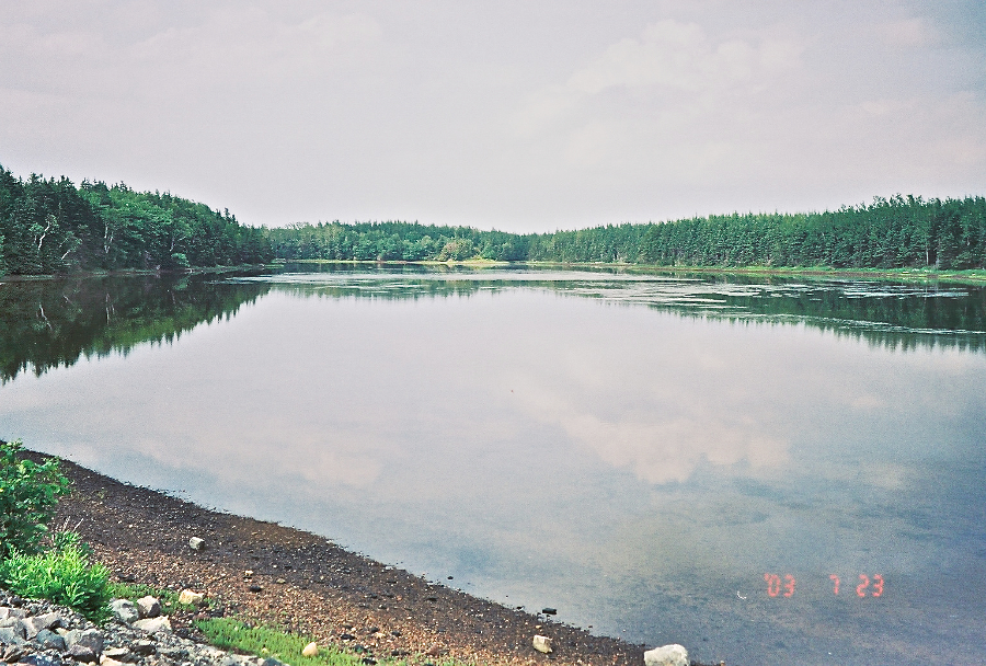 Captains Brook Outflow