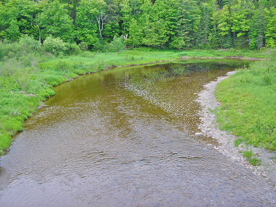 The Southwest Mabou River from the steel bridge