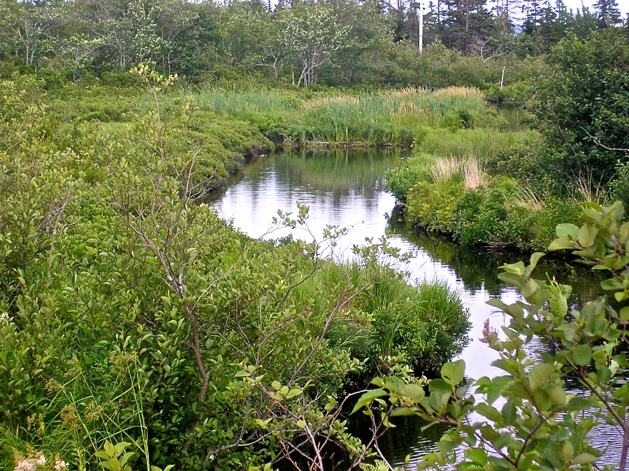 Black River