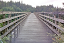 The long trestle