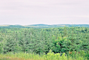 View near Mabou Road