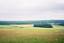 Fields