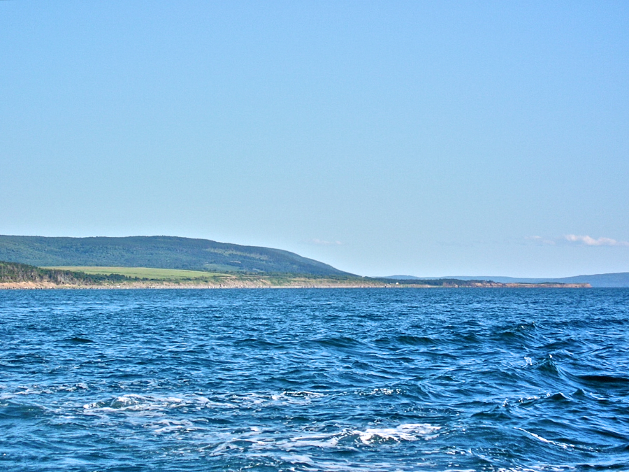 Long Point