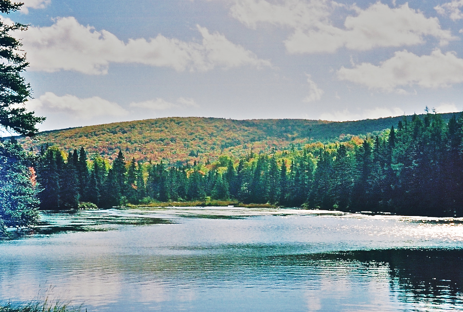 MacKenzie Brook Mouth