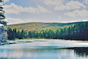 MacKenzie Brook Mouth