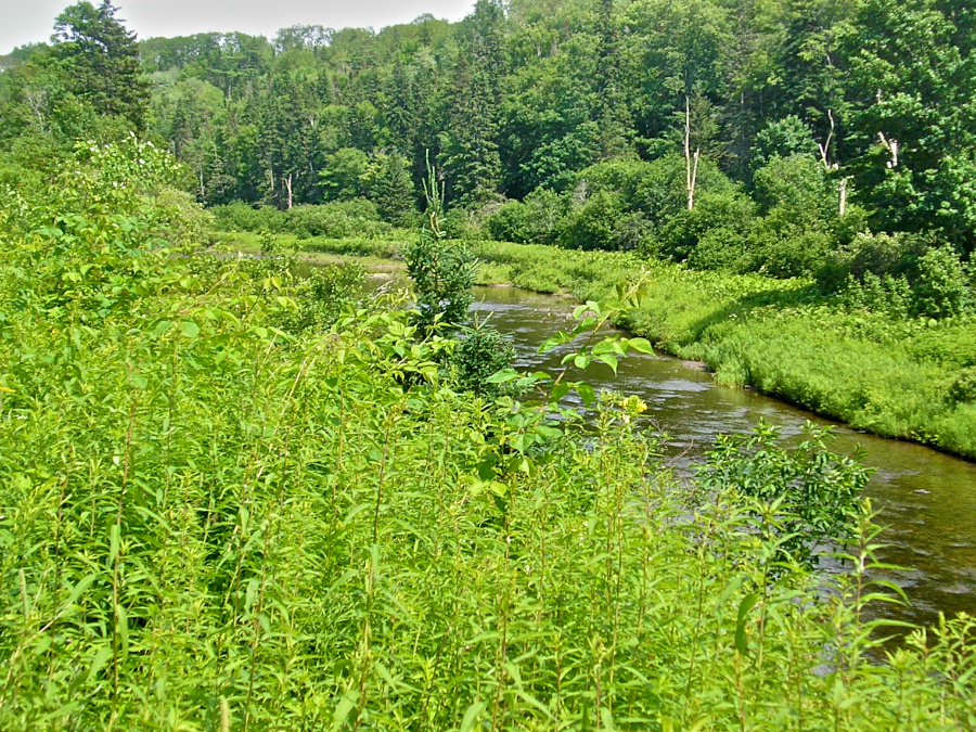 View of the Southwest Mabou River