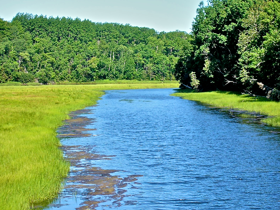View downstream from the second West Mabou Road bridge