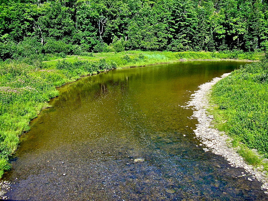 View downstream from the steel Railway Trail bridge over the Southwest Mabou River