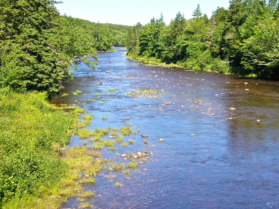 View downstream from the Upper Southwest Mabou bridge