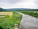 View downstream from the Southwest Mabou bridge