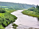 View upstream from the Southwest Mabou bridge