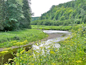 View of the Southwest Mabou River