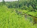 View of the Southwest Mabou River