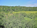 View from the wooden bridge