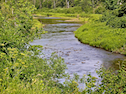View of the Southwest Mabou River