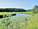 The Southwest Mabou River just above its mouth