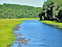 View downstream from the second West Mabou Road bridge
