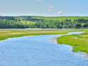 View upstream from the second West Mabou Road bridge
