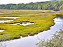Meanders of the Southwest Mabou River at its mouth