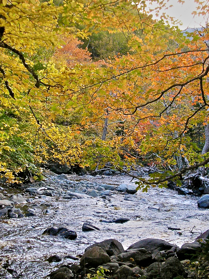 Corney Brook