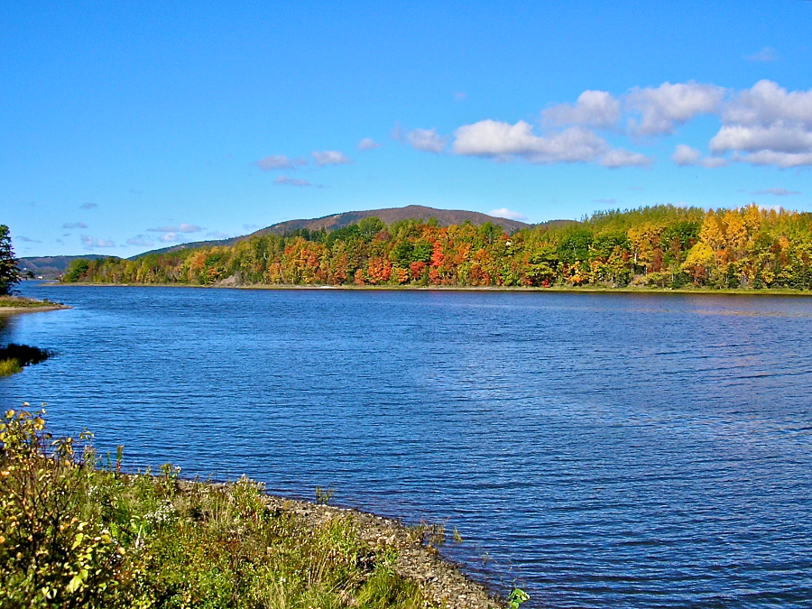 Mabou River Colours